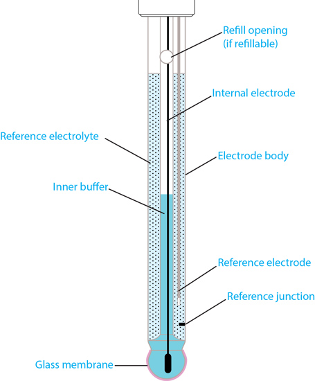 pH-electrode-anatomy-YSI.jpg